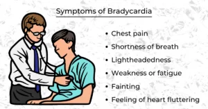 Bradycardia: Slow Heart Rate