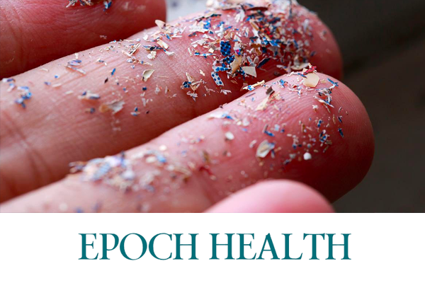 Plaques Have 50 Times More Microplastics Than Healthy Arteries
