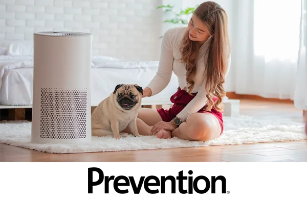 Do HEPA Air Filters Lower Blood Pressure?